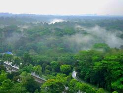 Eco Sanctuary (D23), Condominium #483698541